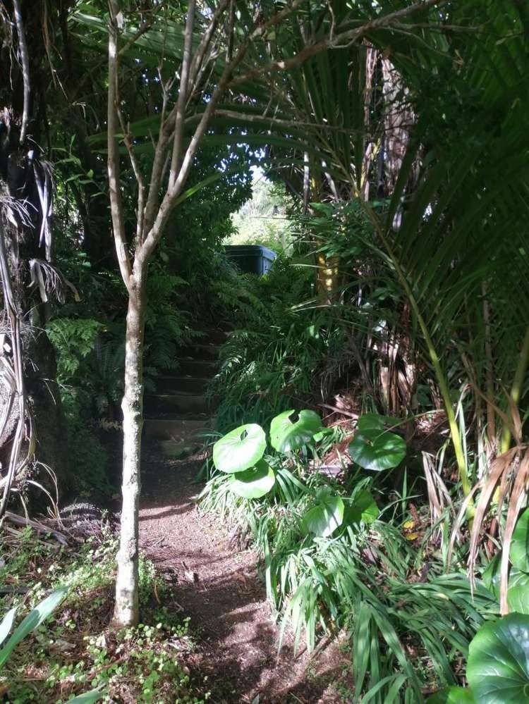 259 Surrey Hill Road Oakura_16