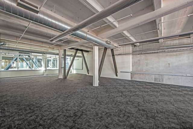 15 Allen Street Te Aro_2