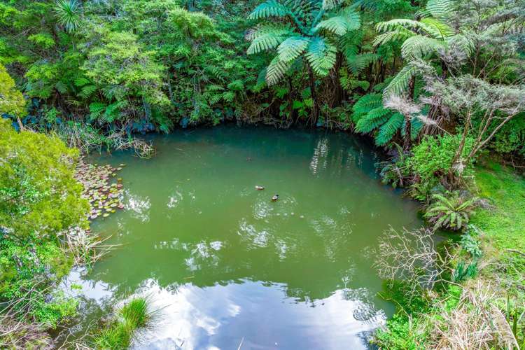 Lot 1 Whitmore Road Matakana_8