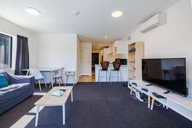 7/377 Leith Street North Dunedin_2