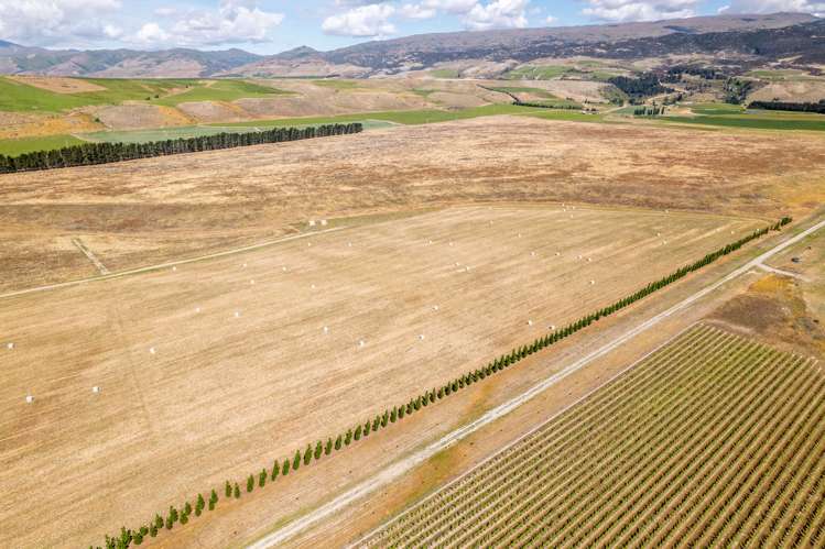 Bendigo Loop Road Cromwell_6