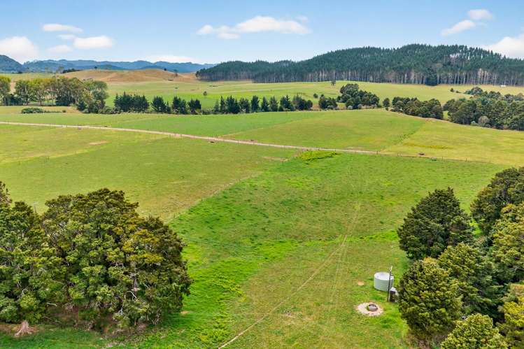 84 Adams Road Whareora_22