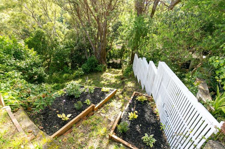 16 Rodney Street Northland_13