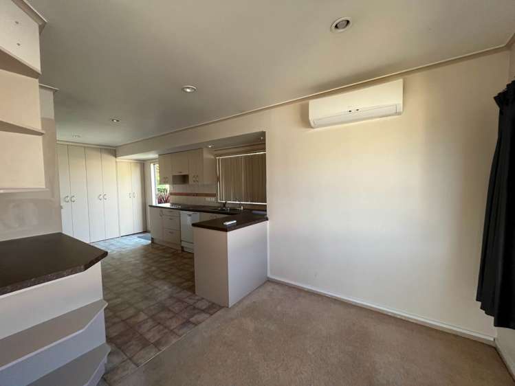 8 Palm Court Drive Glen Eden_2