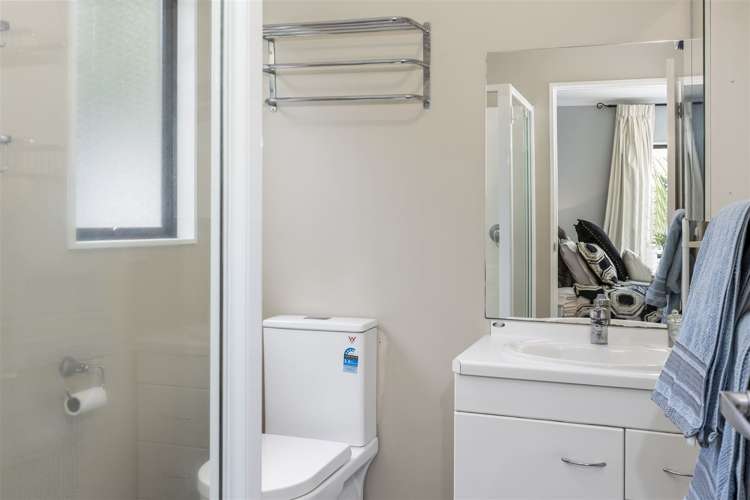 59 Anglesea Street Renwick_13