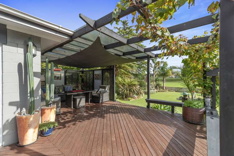 67 North Street Morrinsville_13