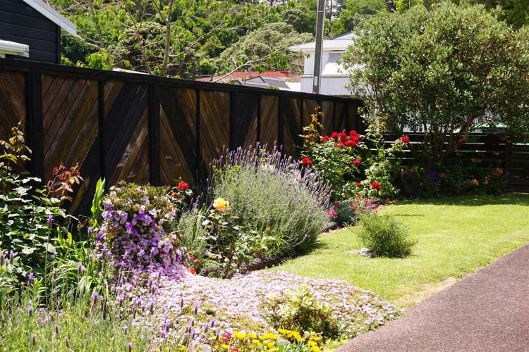 107 Prices Avenue Thames_5