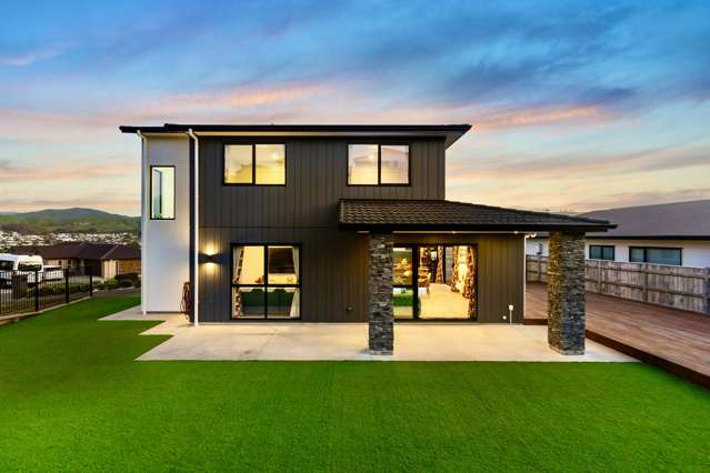 Multi-Generational Modern Family Home