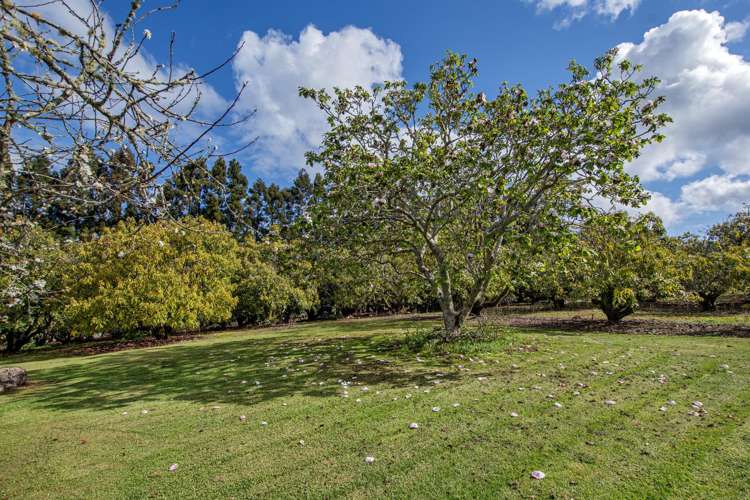 131 Tatton Road Maungatapere_38