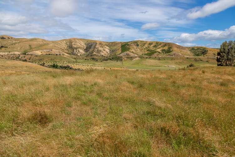 398 Redwood Pass Road Redwood Pass_8