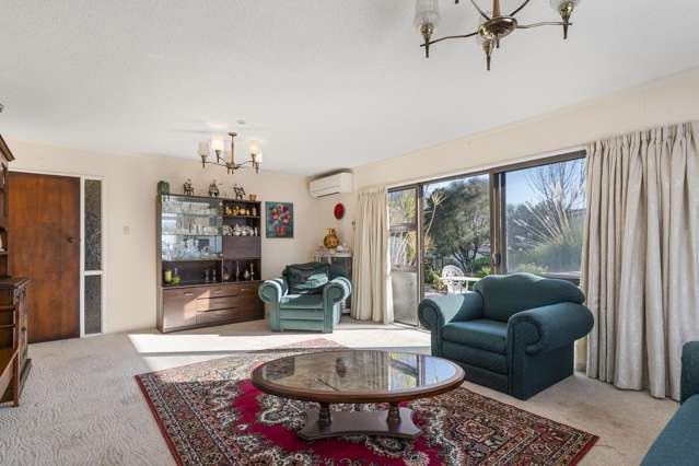 161a Boucher Avenue Te Puke_3