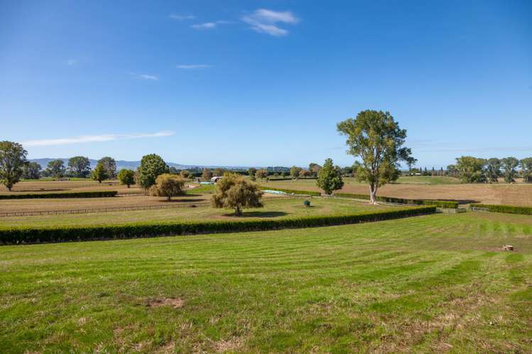 4602A State Highway 29 Matamata_11