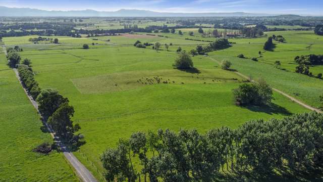 221 Taukoro Road Morrinsville_1