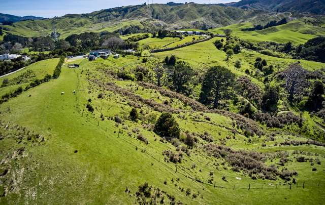 94b Mulhern Road Judgeford_2