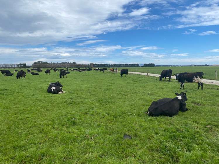 39 Hall Road Awarua Plains_7