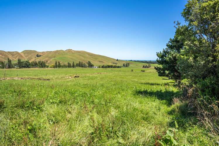 650 Waitohu Valley Road Manakau_22