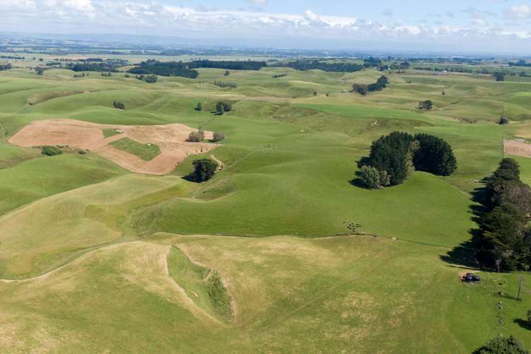 1397 Makino Road Halcombe_15