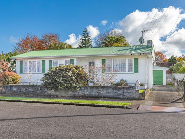19 Green Avenue Levin_13