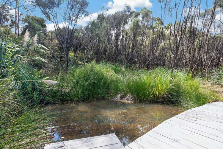 124 Rangiora Road Kaiwaka_32