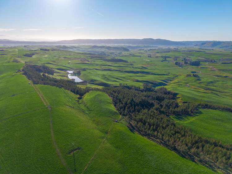 744 Motukaika Road Maungati_21