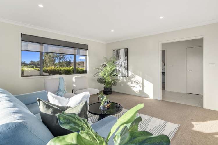 225 Warner Road Oropi_9