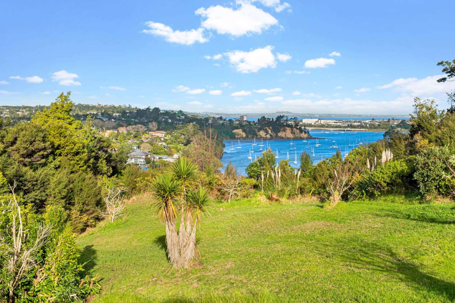 1 Buckleys Track Paremoremo_0