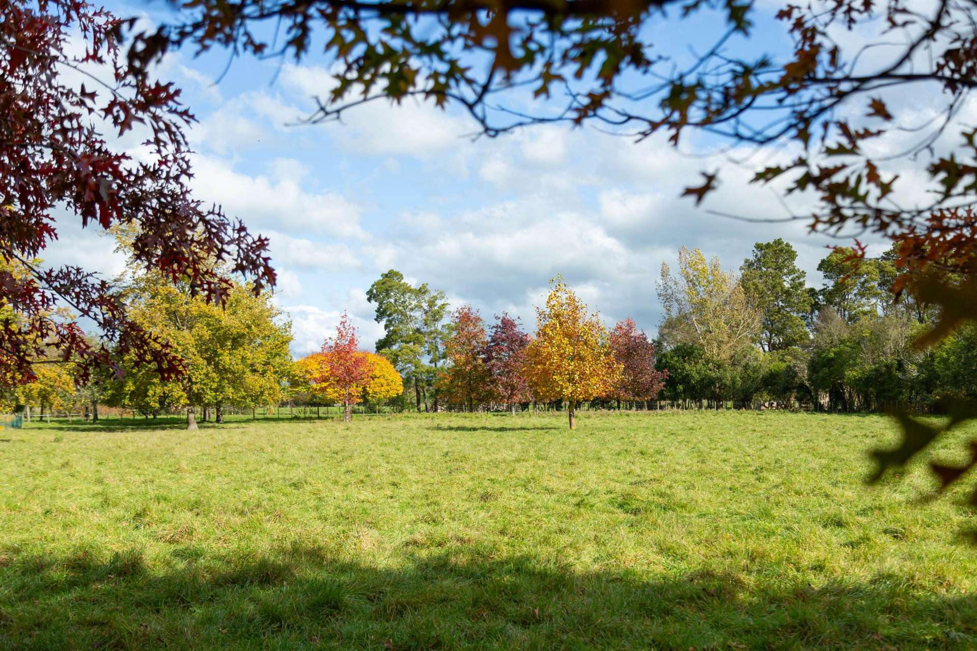 Lot 2, 30 Market Road Greytown_0