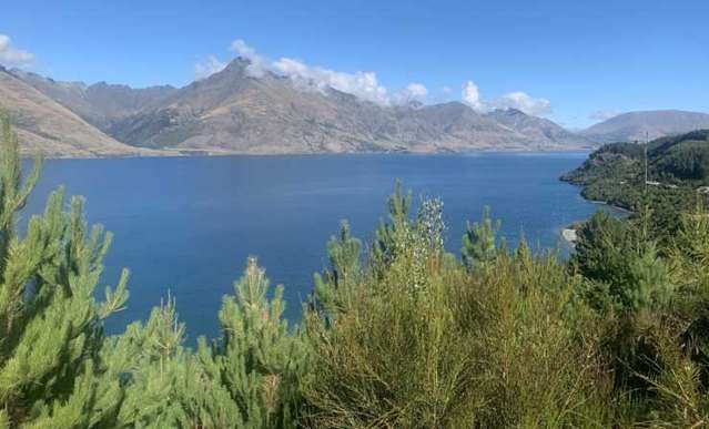 Out-of-town buyer snaps up empty Queenstown plot for $6m-plus