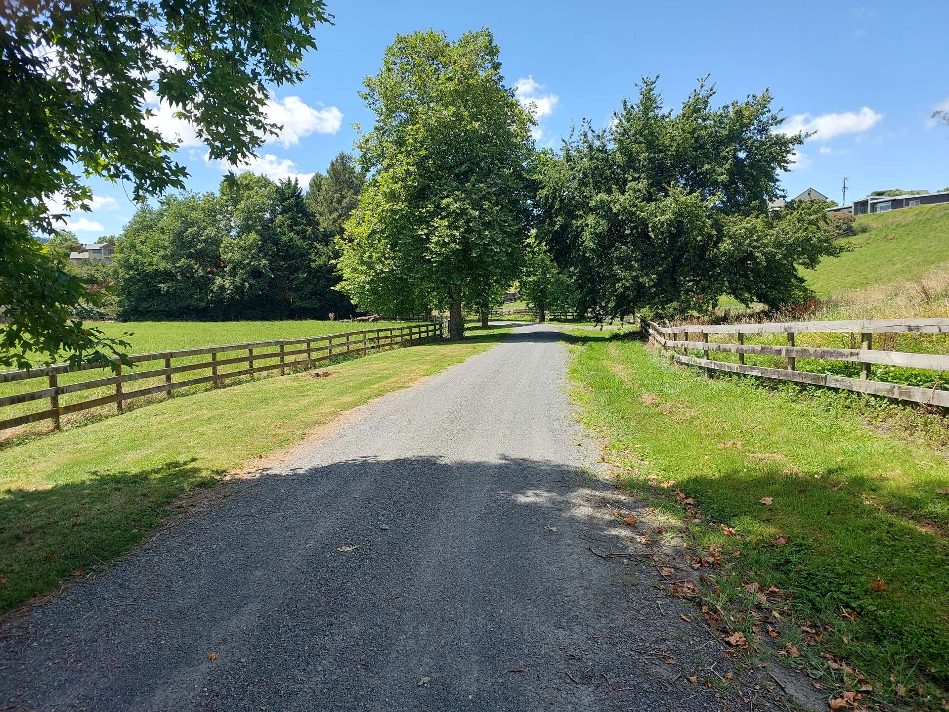 3/103 Maungakawa Road Cambridge_0