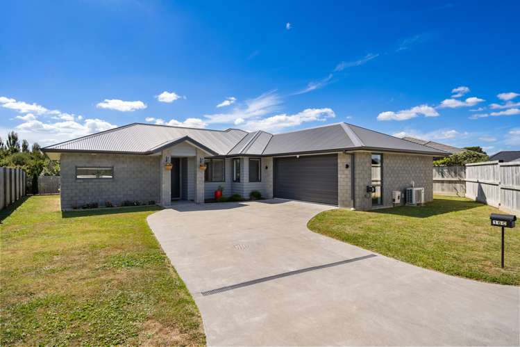 16C Kereruu Street Cambridge_25