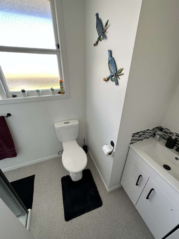 146 Papanui Street Tokoroa_13