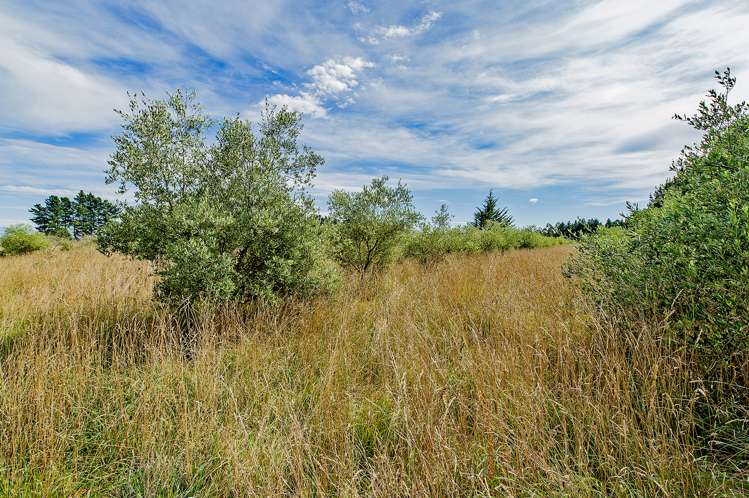 2181e South Eyre Road West Eyreton_10