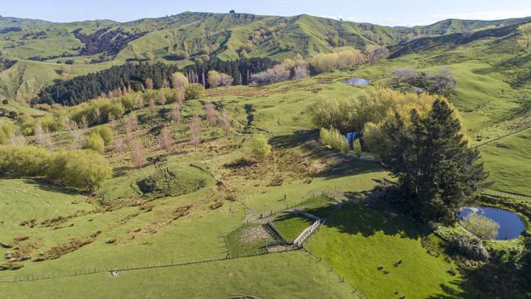 851 Clifton Grove Road Gladstone_12