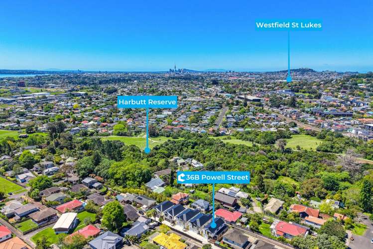 36B Powell Street Avondale_25