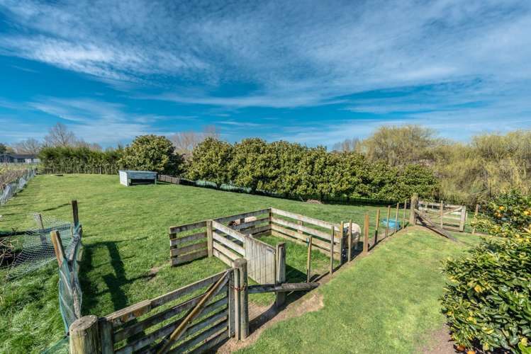 3/46 Lowe Road Rukuhia_24