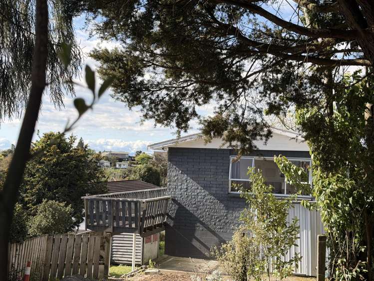 17 Anderson Street_0
