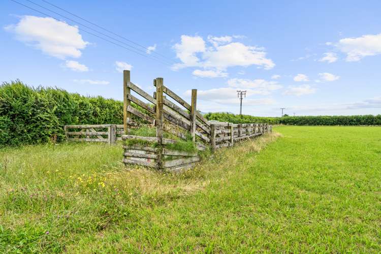 Tower Road Matamata_13