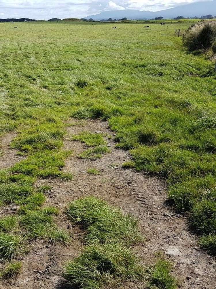 349 Ihaia Road Opunake_30