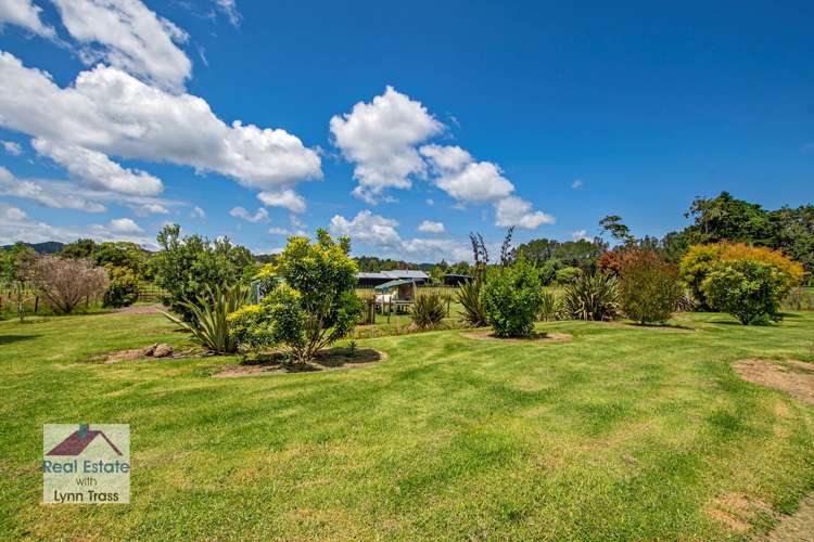 464 Vinegar Hill Road Kauri_25