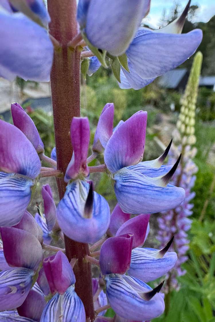 32 Admiral Way Tutukaka_18