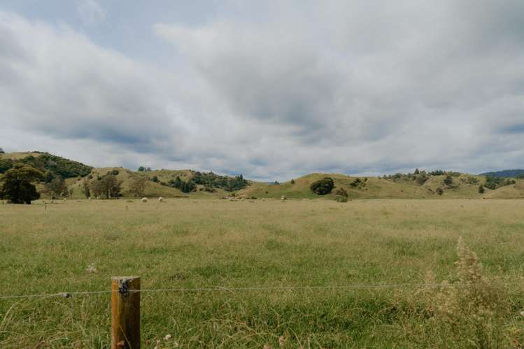 137 Matchitt Road Opotiki Surrounds_15