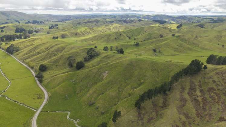 344 North Road Masterton_18