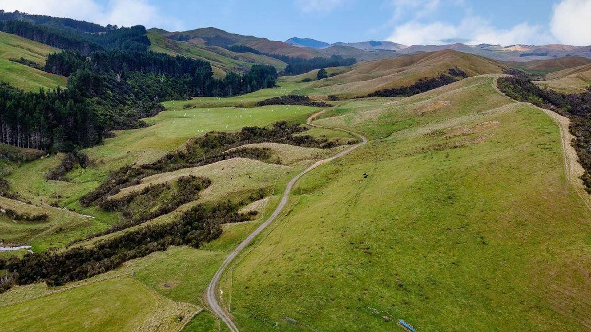 25 Mangamaire Road Dannevirke_0
