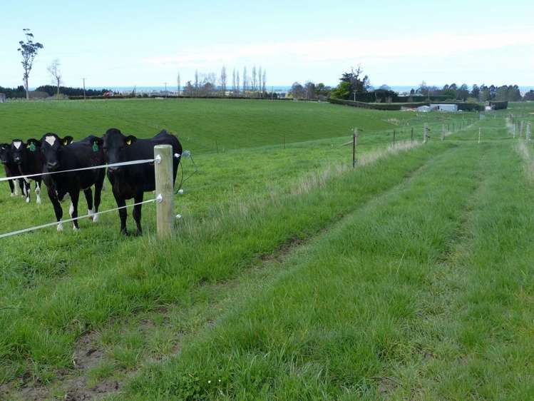 Whitneys Road Waimate_6