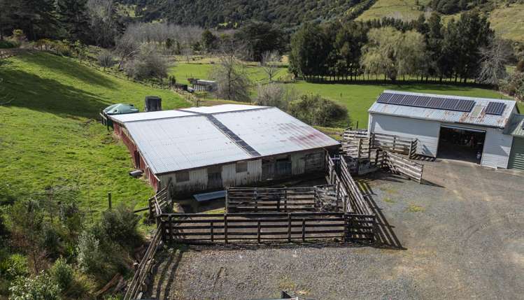 398C Kauaeranga Valley Road Thames_14