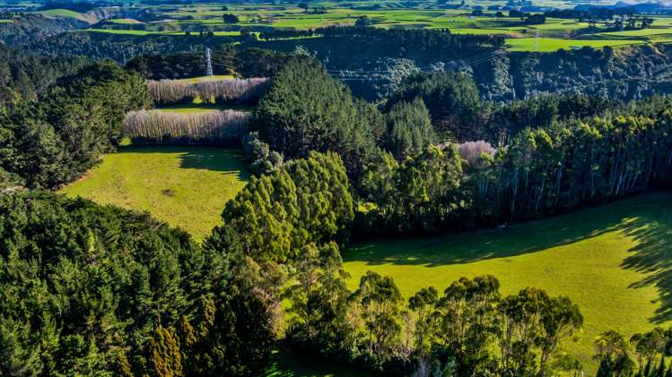 709 Ingahape Road Ohangai_17