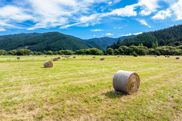 State Highway 1 Koromiko_3