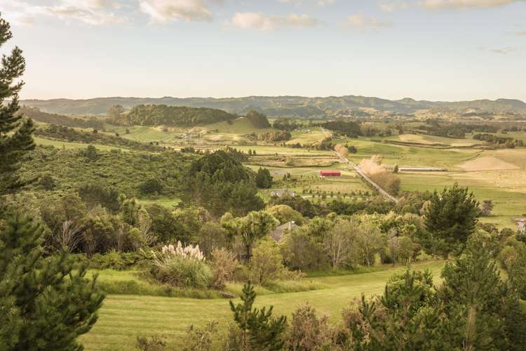 23 Edgerley Road Kaipara Flats_17