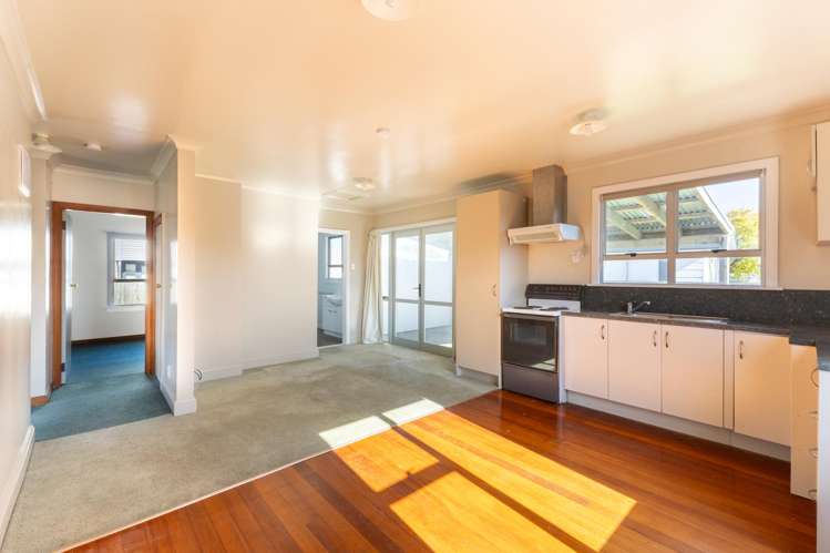 46A Kaimanawa Street_4