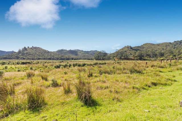 255 Gray Road Great Barrier Island (Aotea Island)_3